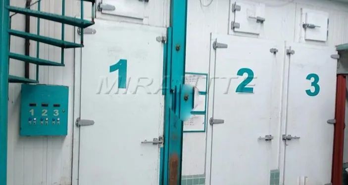 Comercial de 196m² em Vila Nova Cachoeirinha - Foto 4