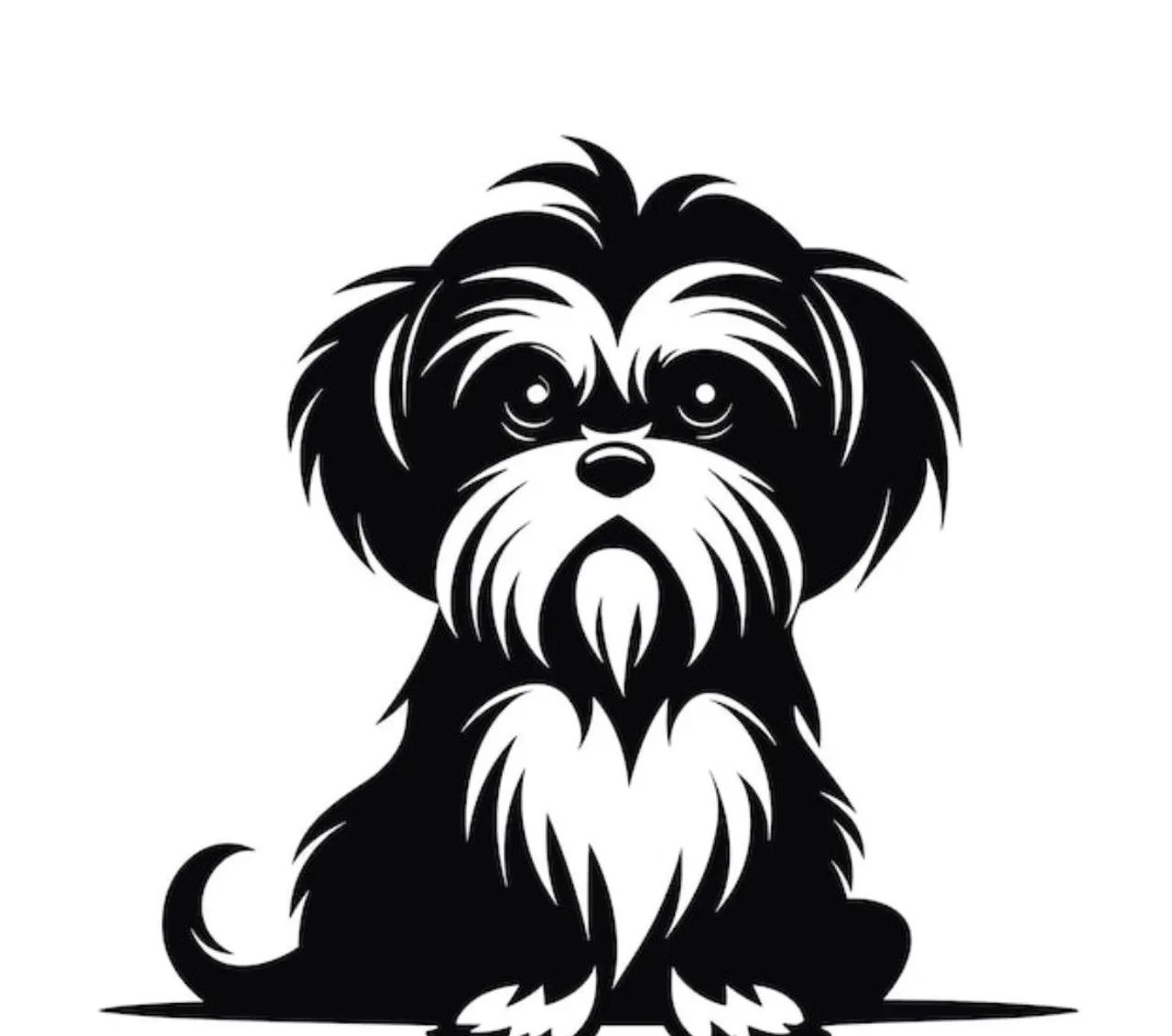 Filhote de Shitzu com Lhasa 