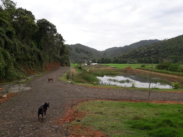 Sitio 23.000 mt² em Luiz Alves SC - Foto 16