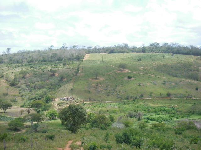 Fazenda em Mundo novo - Foto 6