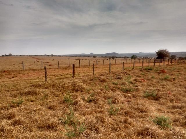 Fazenda Plana. 833 Alq. Iporá-GO. (Abaixo do Preço) - Foto 6