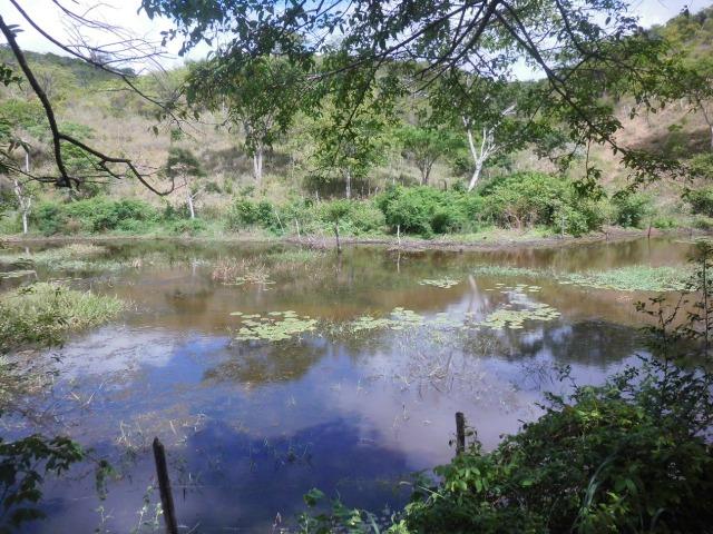 Fazenda em Mundo novo - Foto 16