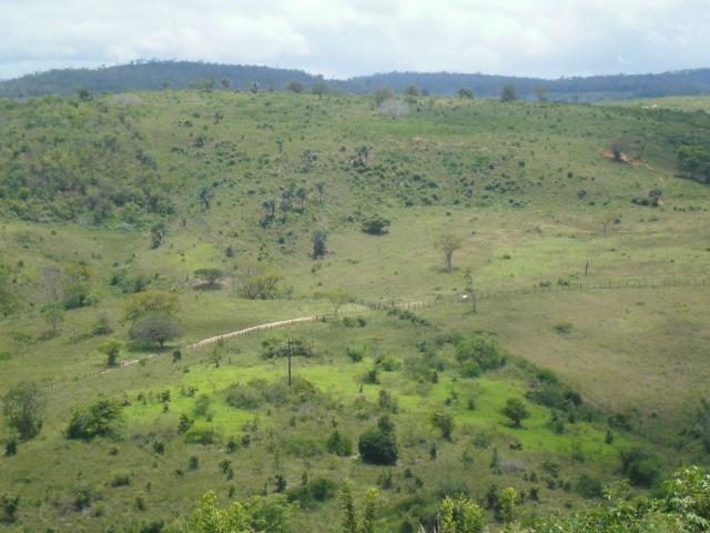 Fazenda em Mundo novo - Foto 9