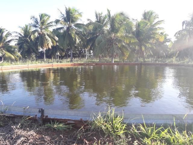 Fazenda 87,31 tarefas em Conde - Foto 4