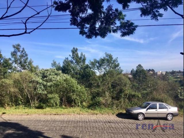 Terreno em caxias do sul - Foto 4