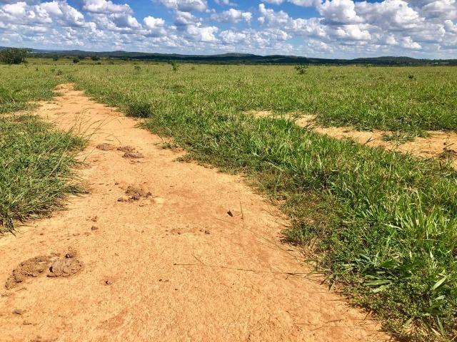 Fazenda em Paranatinga MT - Foto 15