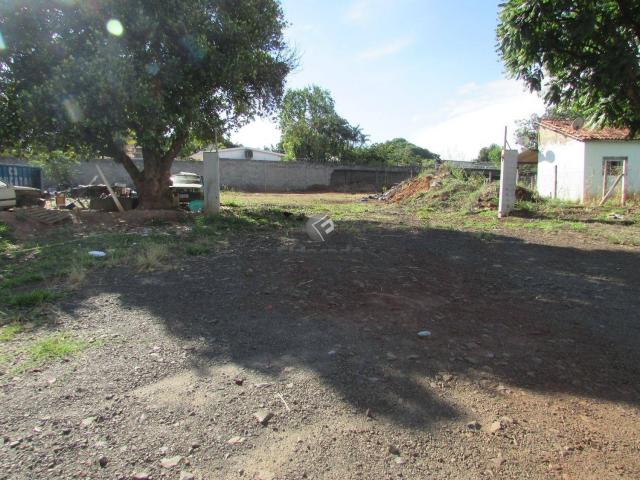 Terreno comercial para locação, chácara santa antonieta (nova veneza), sumaré - te2594. - Foto 2