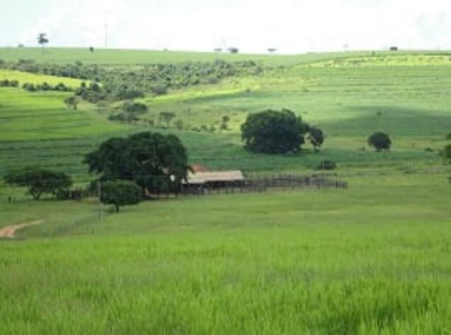 Fazenda 700 Alqueires - Região de Presidente Prudente-SP - Foto 11