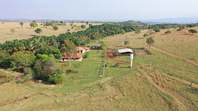 Fazenda 67 Alqueires em Santa Isabel-Go  - Foto 4