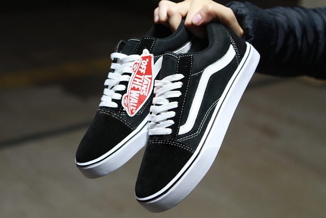 caixa vans old skool
