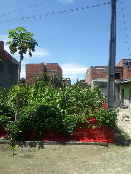 foto - Maceió - Santos Dumont