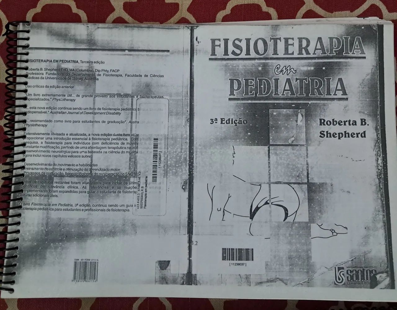 Fisioterapia em Pediatria - 3ª Edição