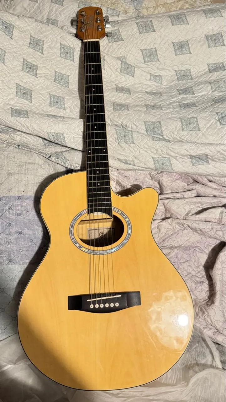 Violão Giannini