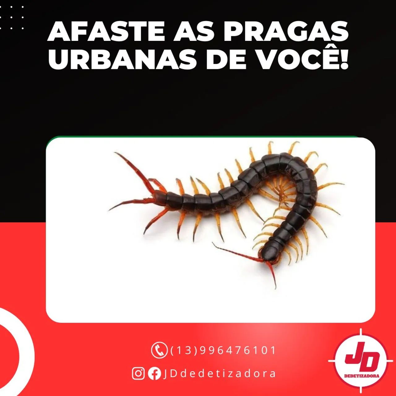 Dedetização em geral - Foto 5