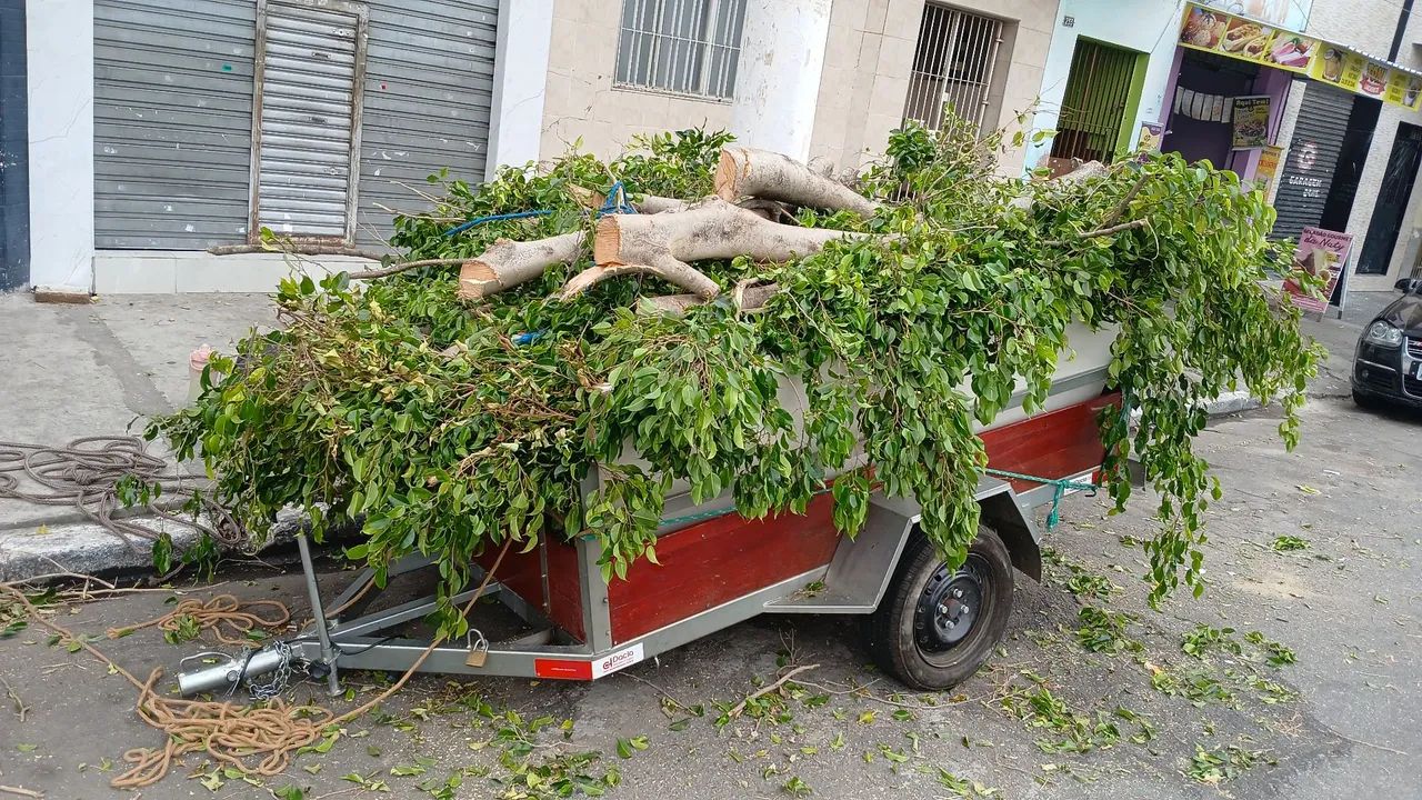 Serviços de jardinagem e limpeza de terrenos  - Foto 2