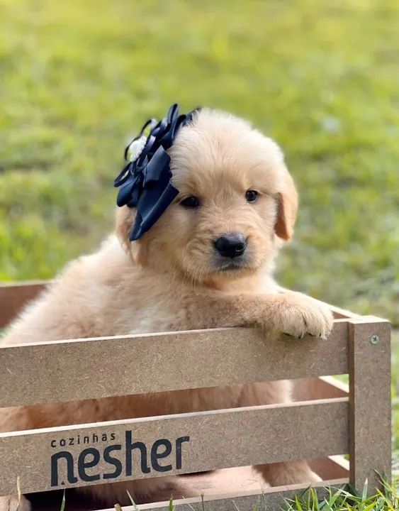 Beleza de sobradinho  - Foto 3