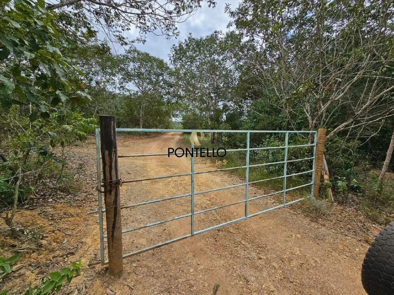 Fazenda no Brejinho - Foto 2