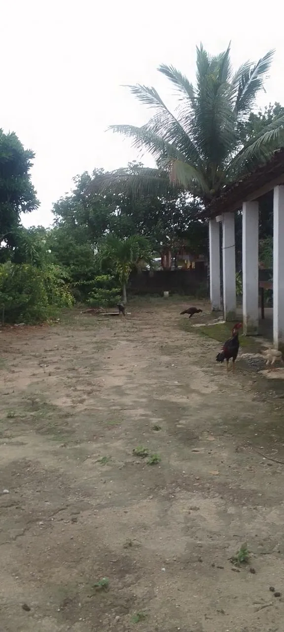 Chácara São José