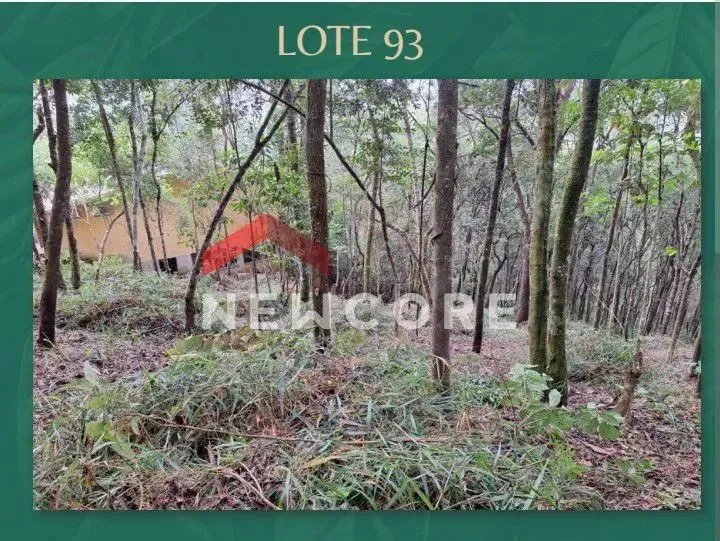 Lote em condomínio em Alameda do Encantado - Pasárgada - Nova Lima/MG
