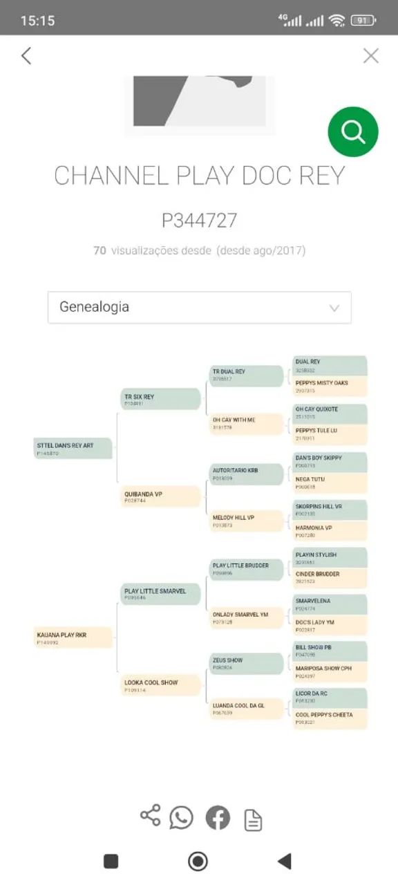POTRA QM PURA PRA VENDER OU TROCAR - Foto 5