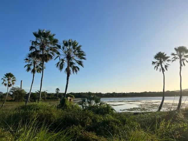 Terreno com Lagoa Maravilhosa - Área com 78.372 m² - Foto 2