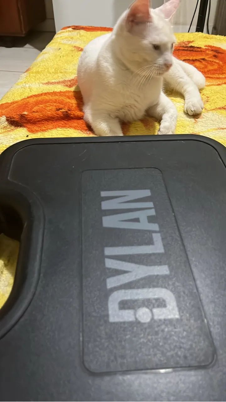 Jogo de microfone profissional  sem fio DYLAN - Foto 5