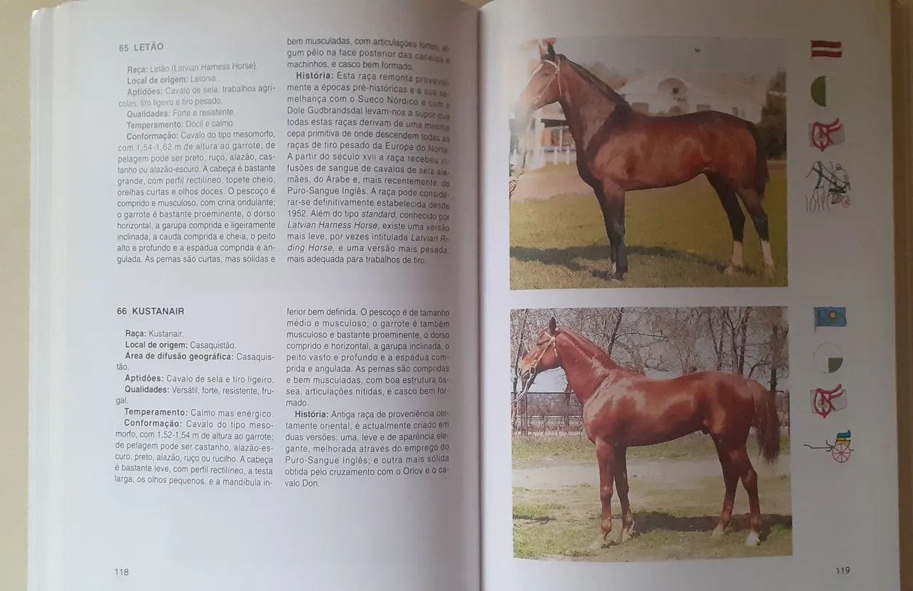 Livro "Guia das Raças de Cavalos", de Maurizio Bongianni - Foto 3