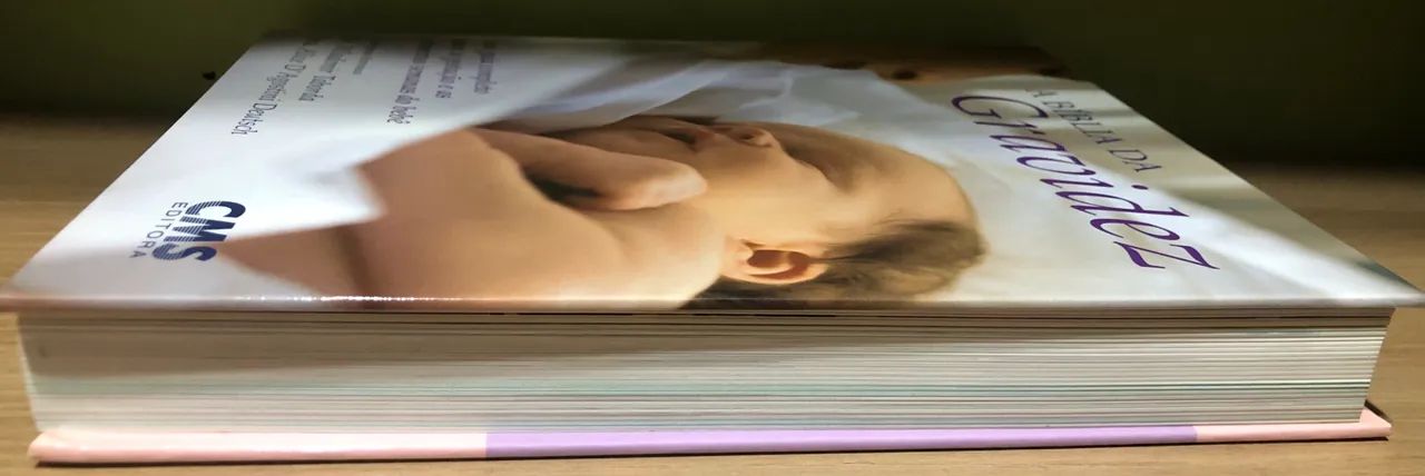 Livro a Bíblia da gravidez - Foto 3