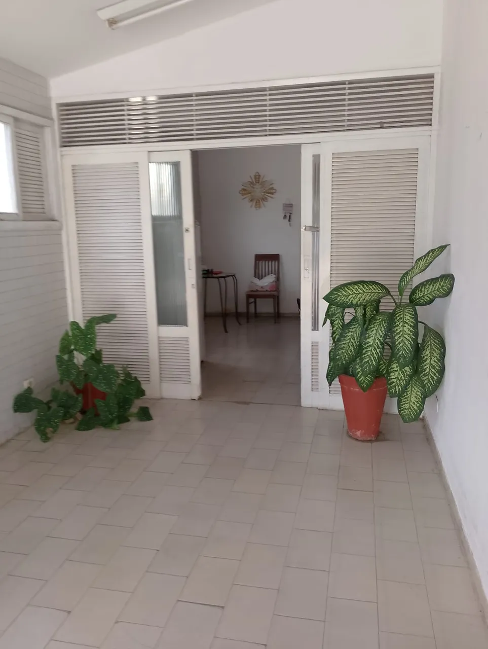 Laise mostra Cs Jaguarari
