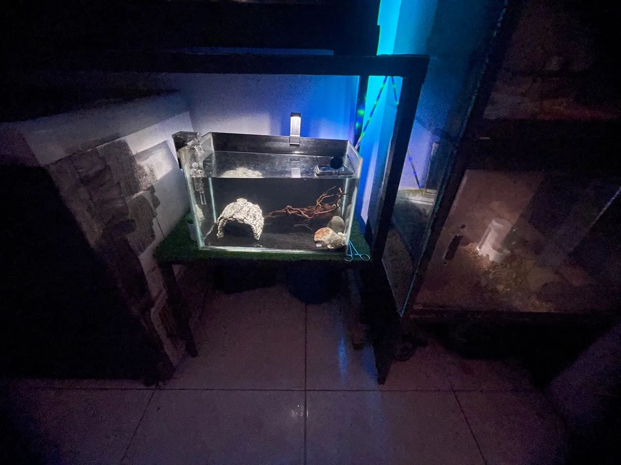 Aquário completo  - Foto 4