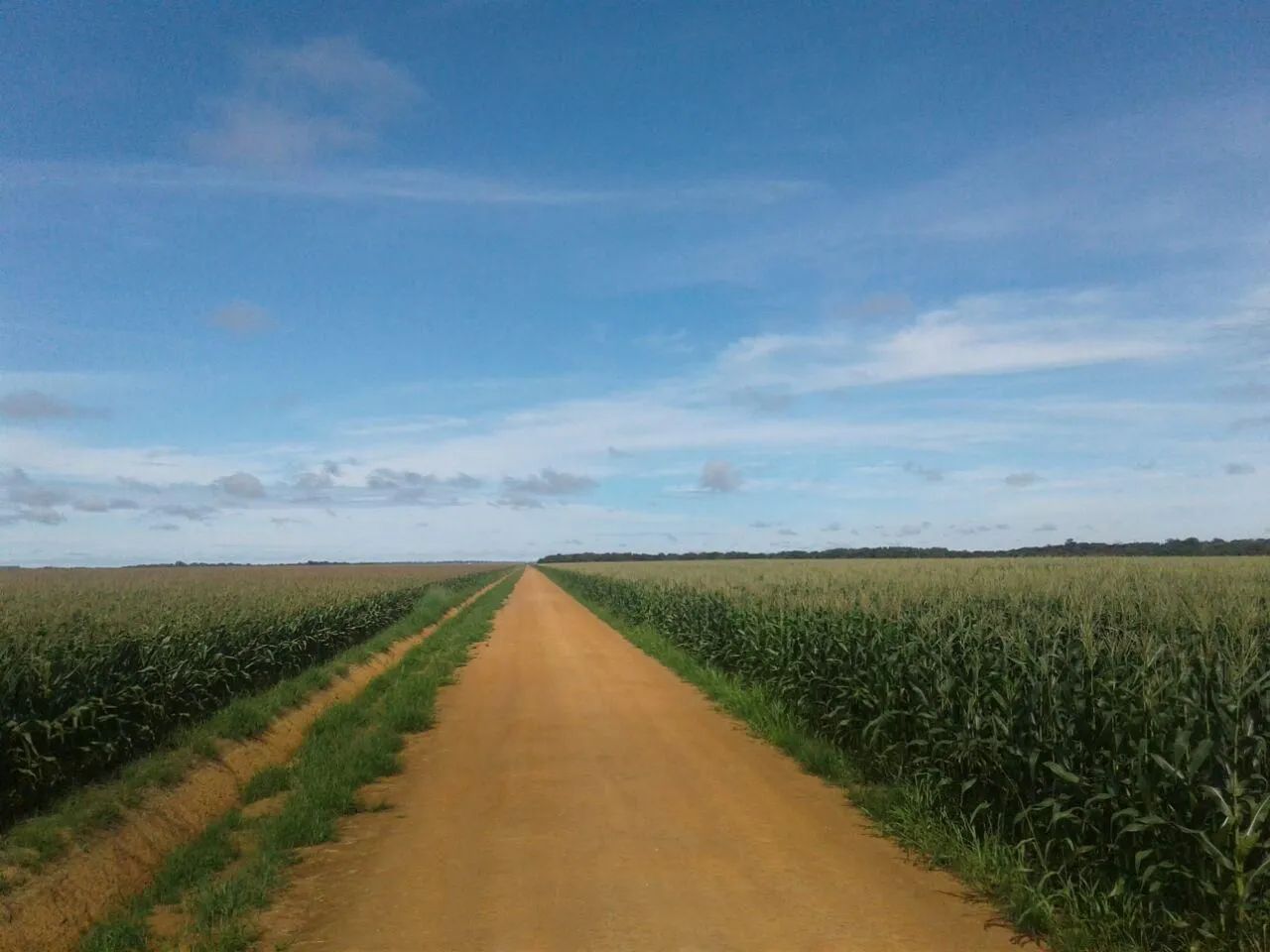 Fazenda 15.912 hect a 150k. De nova Ubiratan MT.  700 milhões. - Foto 5