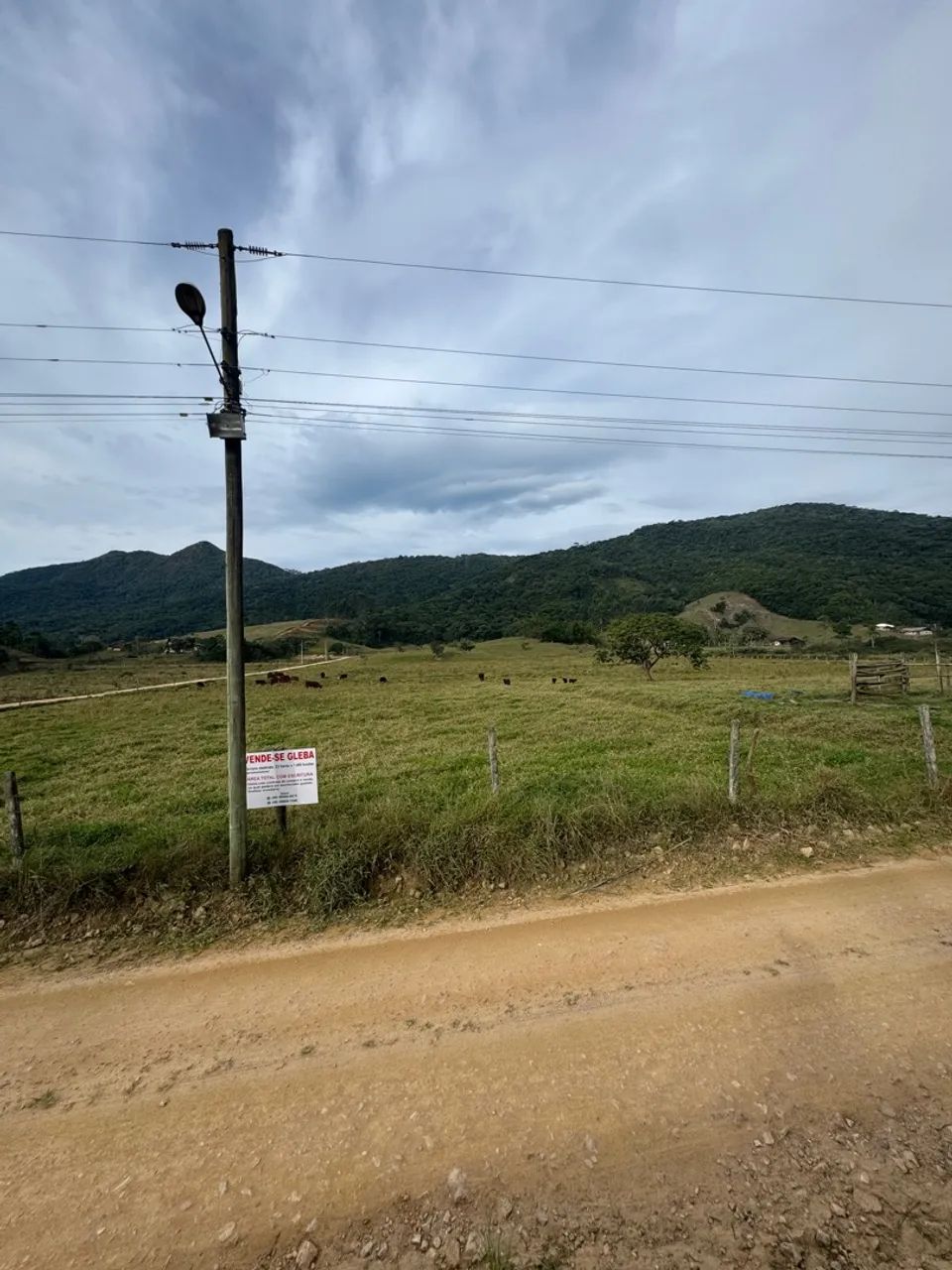 Terreno sítio timbé Tijucas SC 34.400m2 - Foto 3