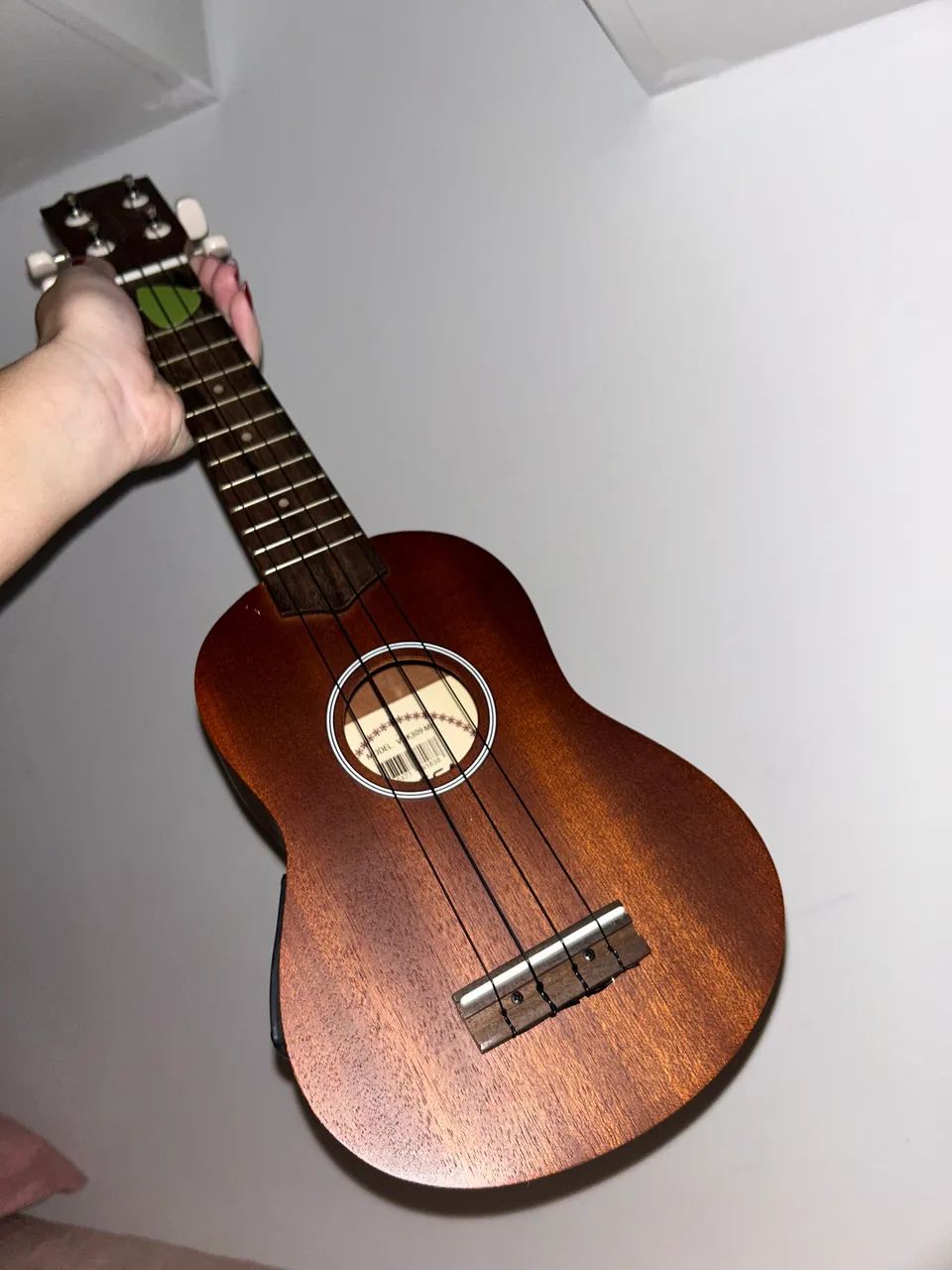 UKULELE ELÉTRICO VOGGA64520839377795120