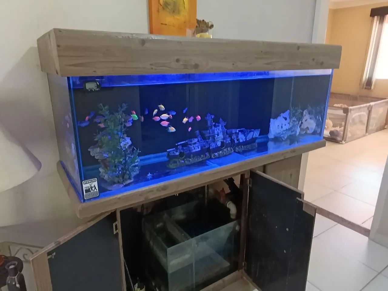 Aquário  - Foto 3