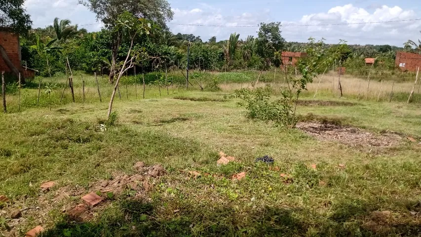15 mil terreno
