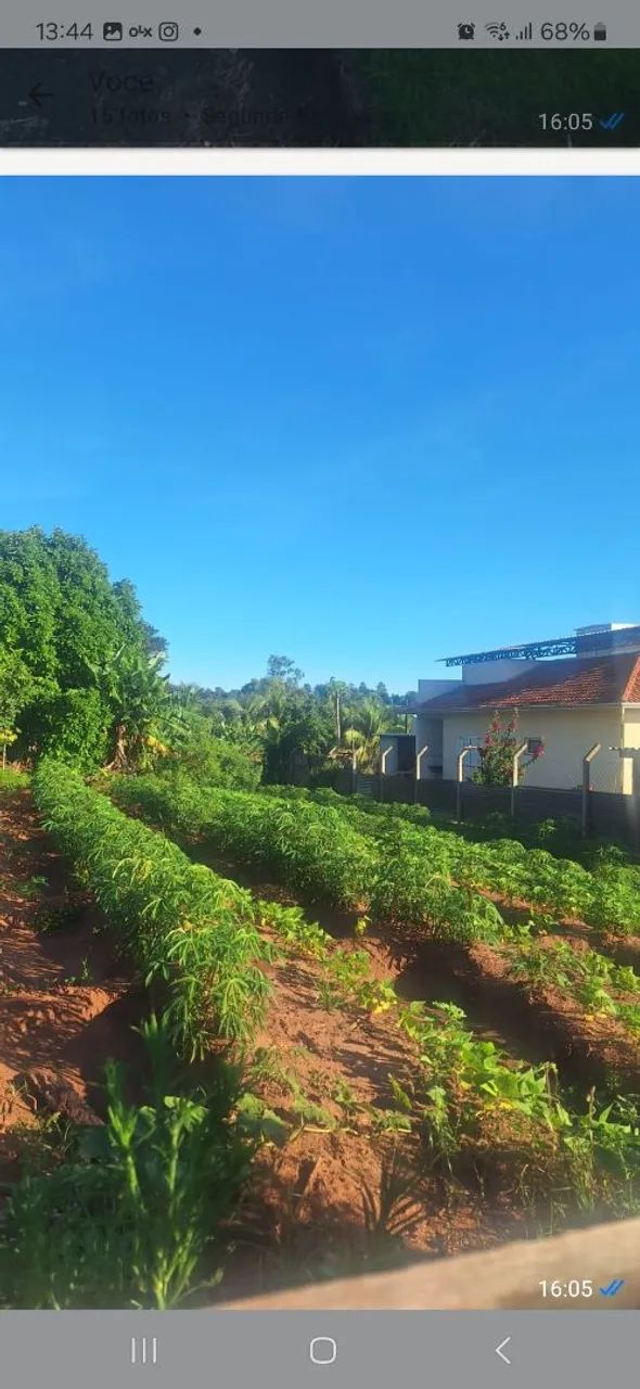 Terreno  - Foto 2