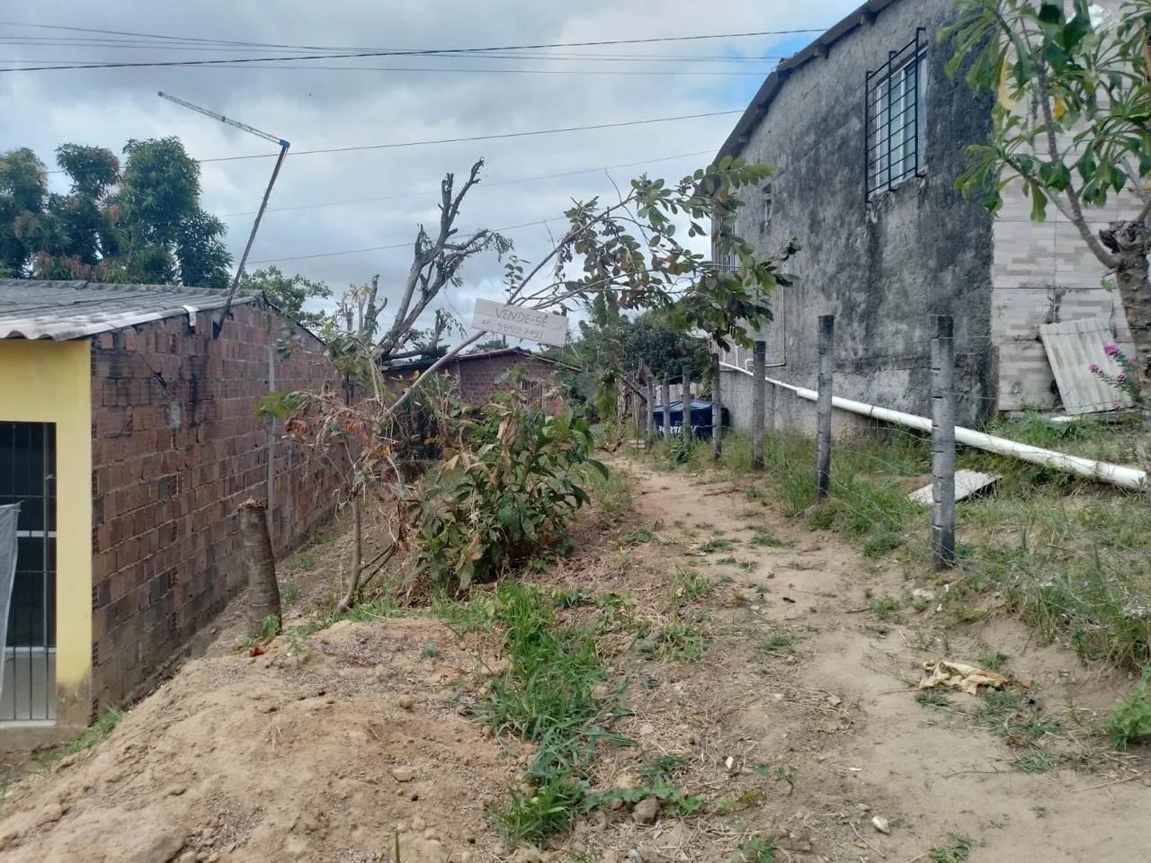 Foto - Ilha de Itamaracá - 