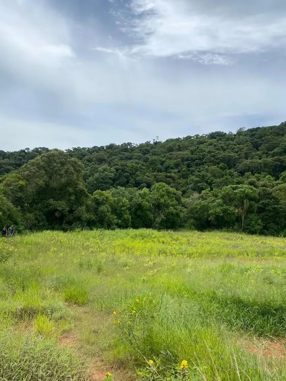 Imóvel para venda com 1000 metros quadrados em Rio de Una - Ibiúna - SP - Foto 11
