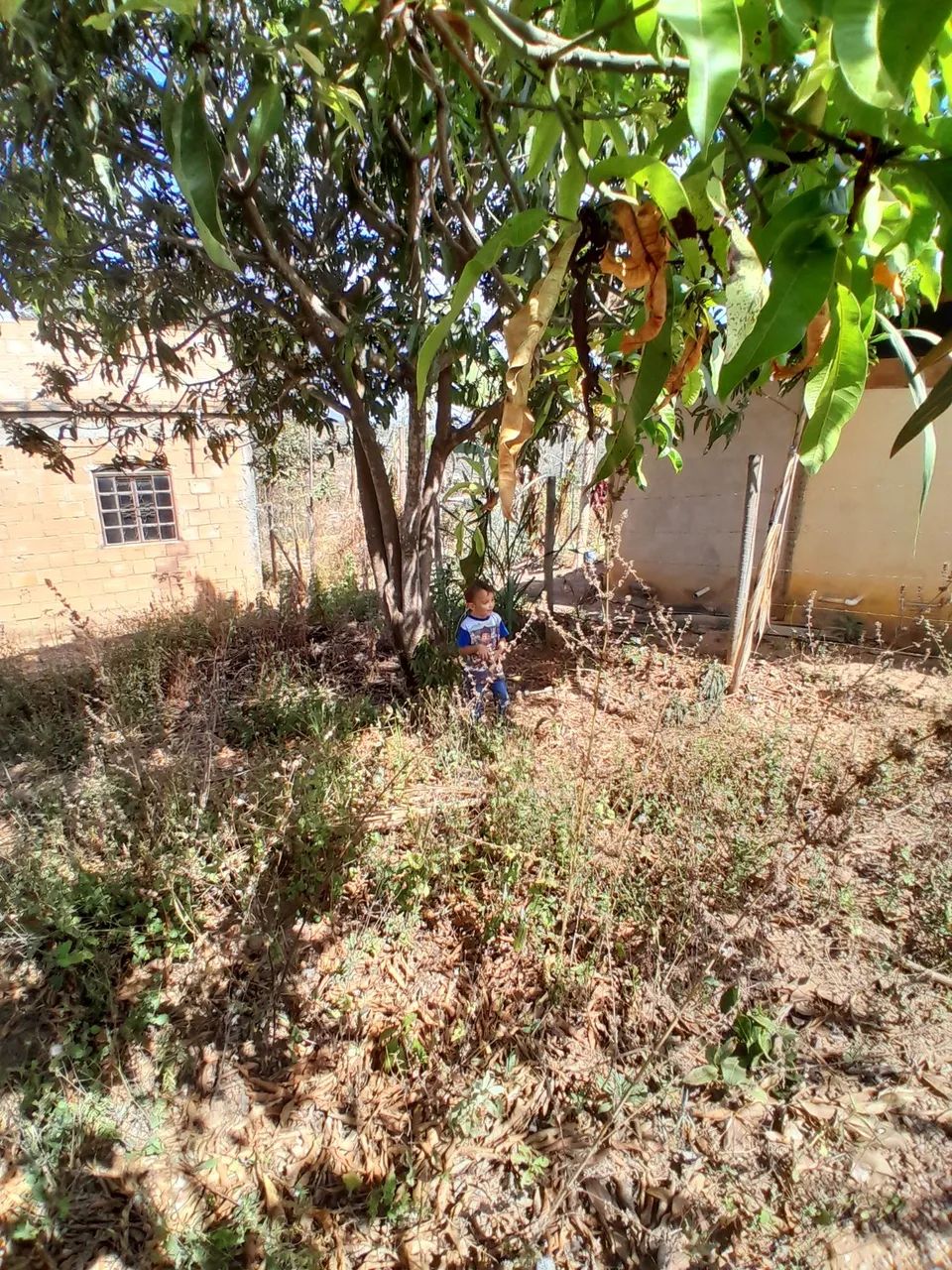 Vendo casa - Foto 4
