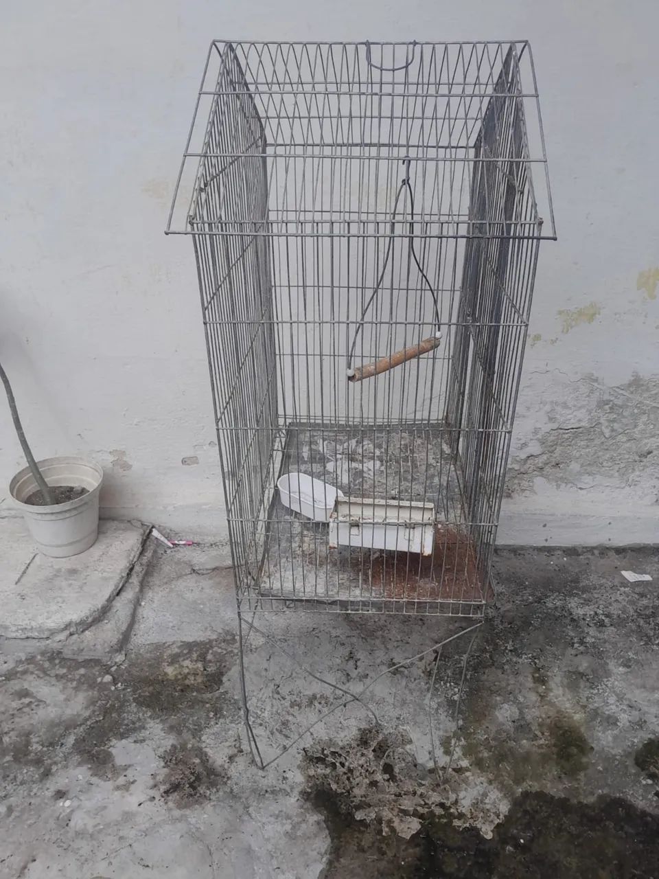 Gaiola  - Foto 3