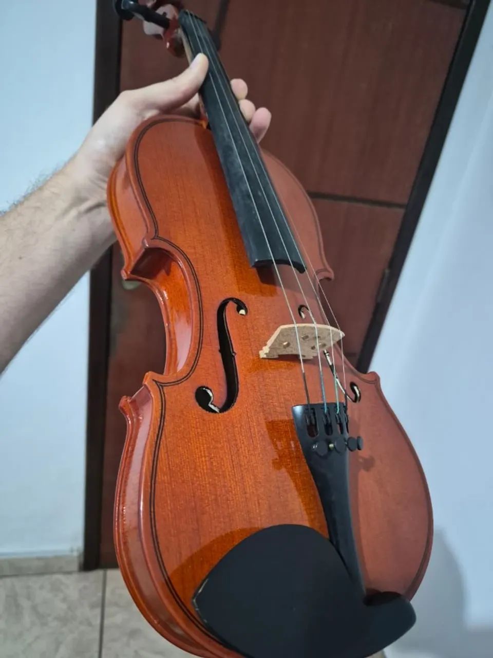 Violino Parrot  - Foto 3
