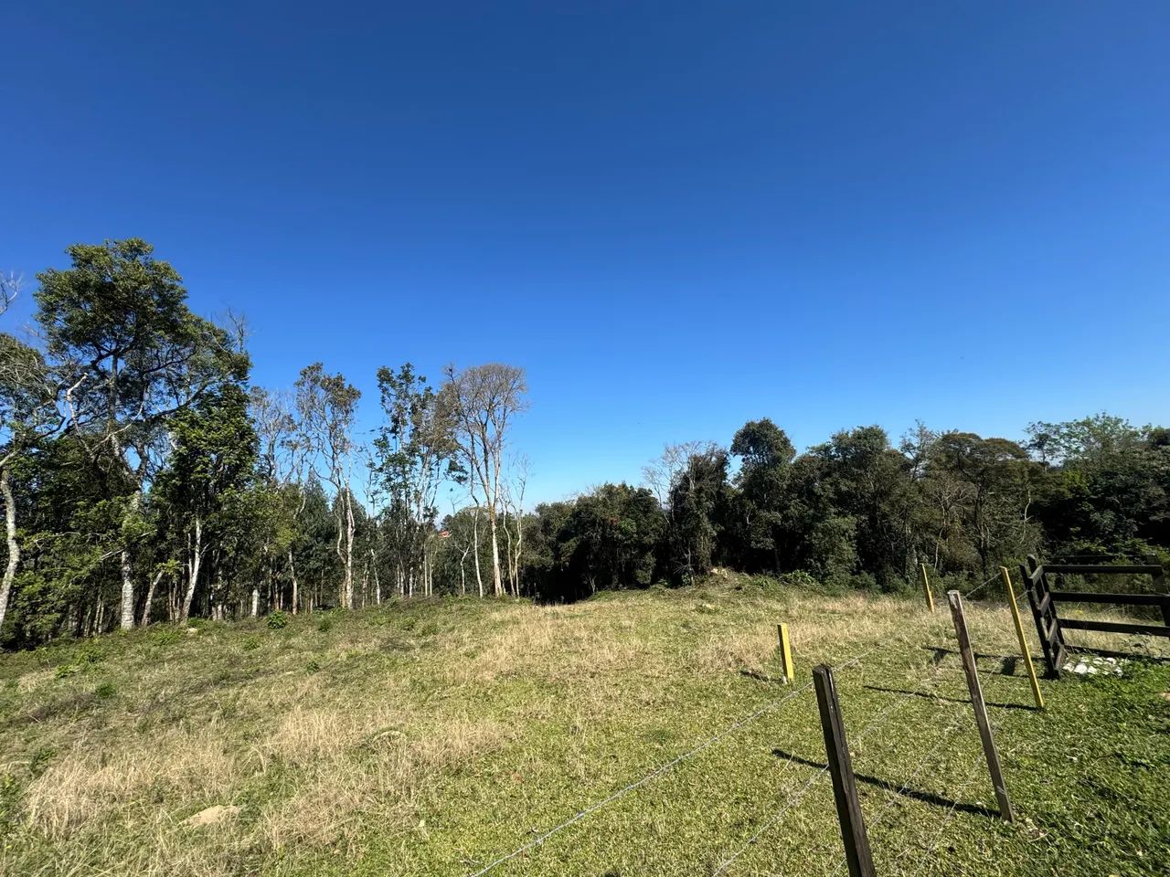 Foto - Mandirituba - 
