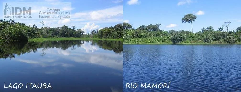 Área com 10.697 ha em Autazes - AM - Foto 5