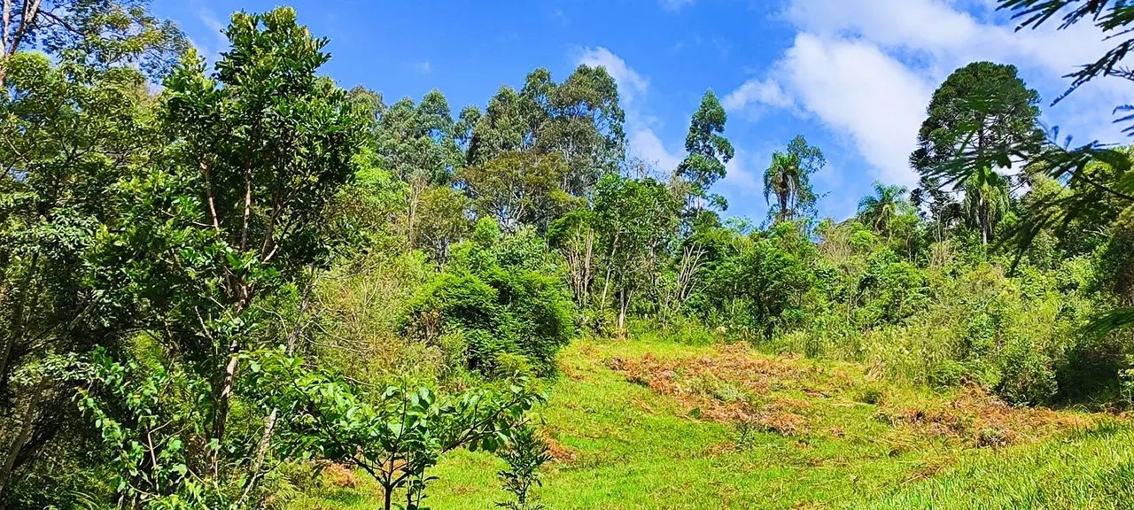 Linda área em Alfredo Wagner-SC  - Foto 5
