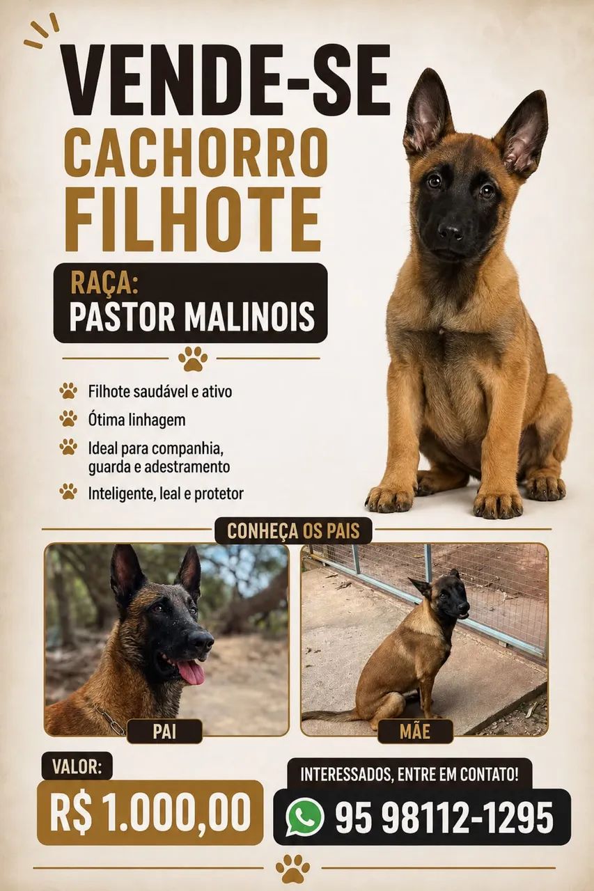 Pastor Malinois