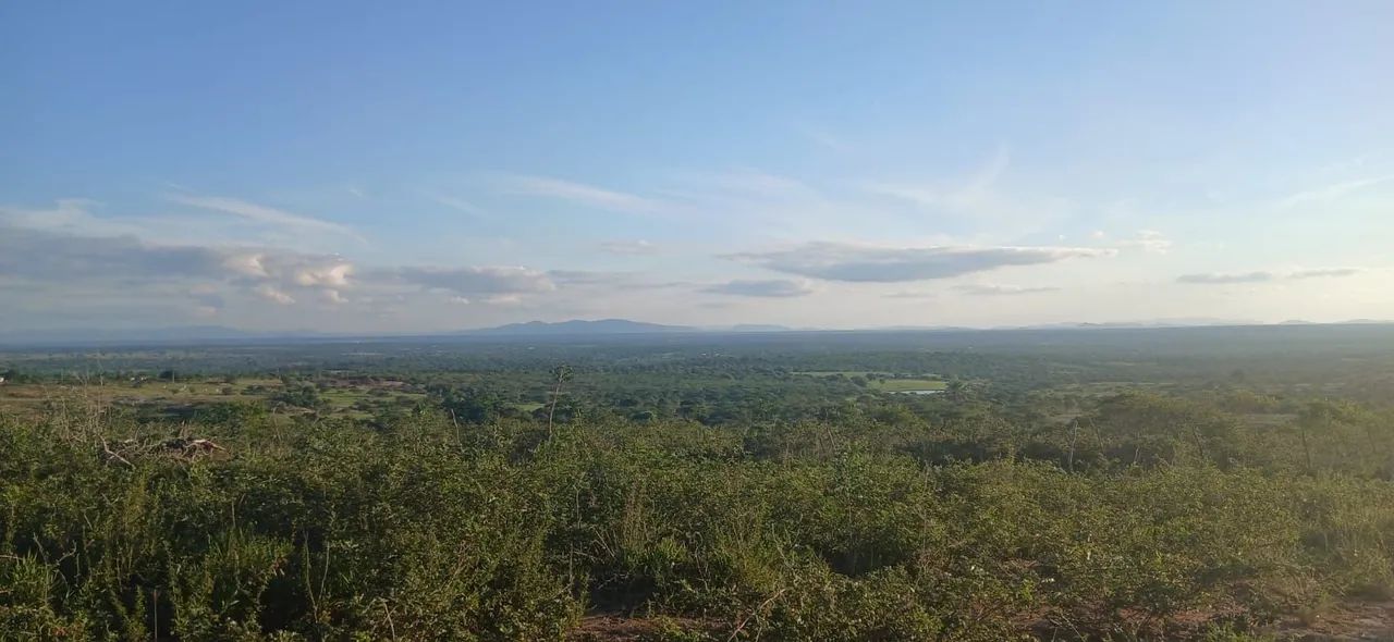 Vendo 2 lote em santo Estevão  - Foto 3