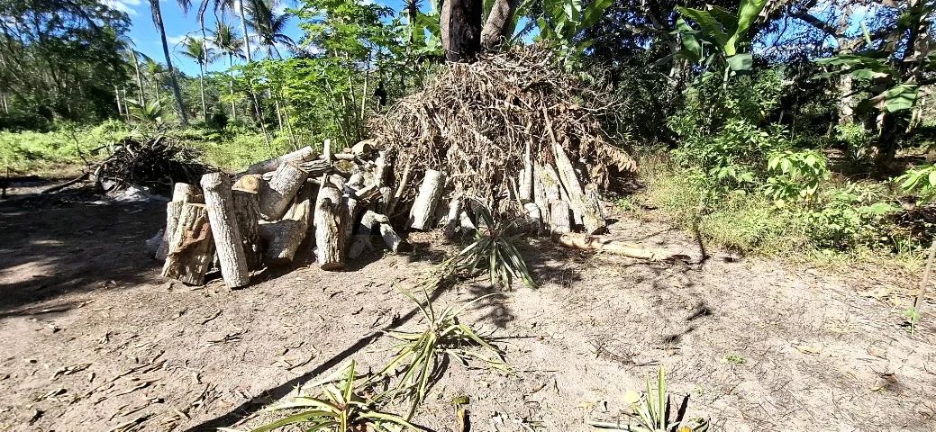Madeira para Forno ou Caldeira  - Foto 5