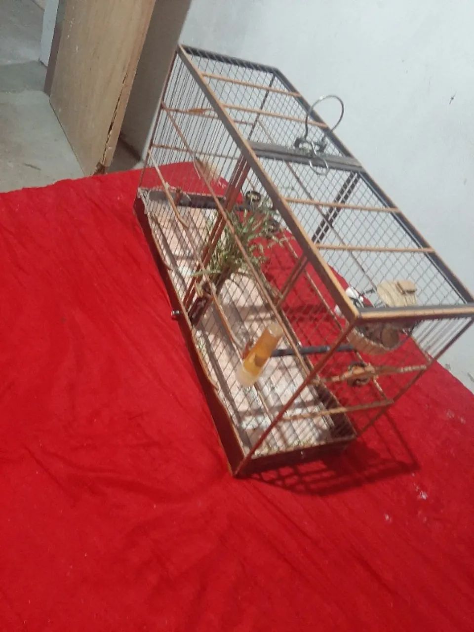 Gaiola  - Foto 2