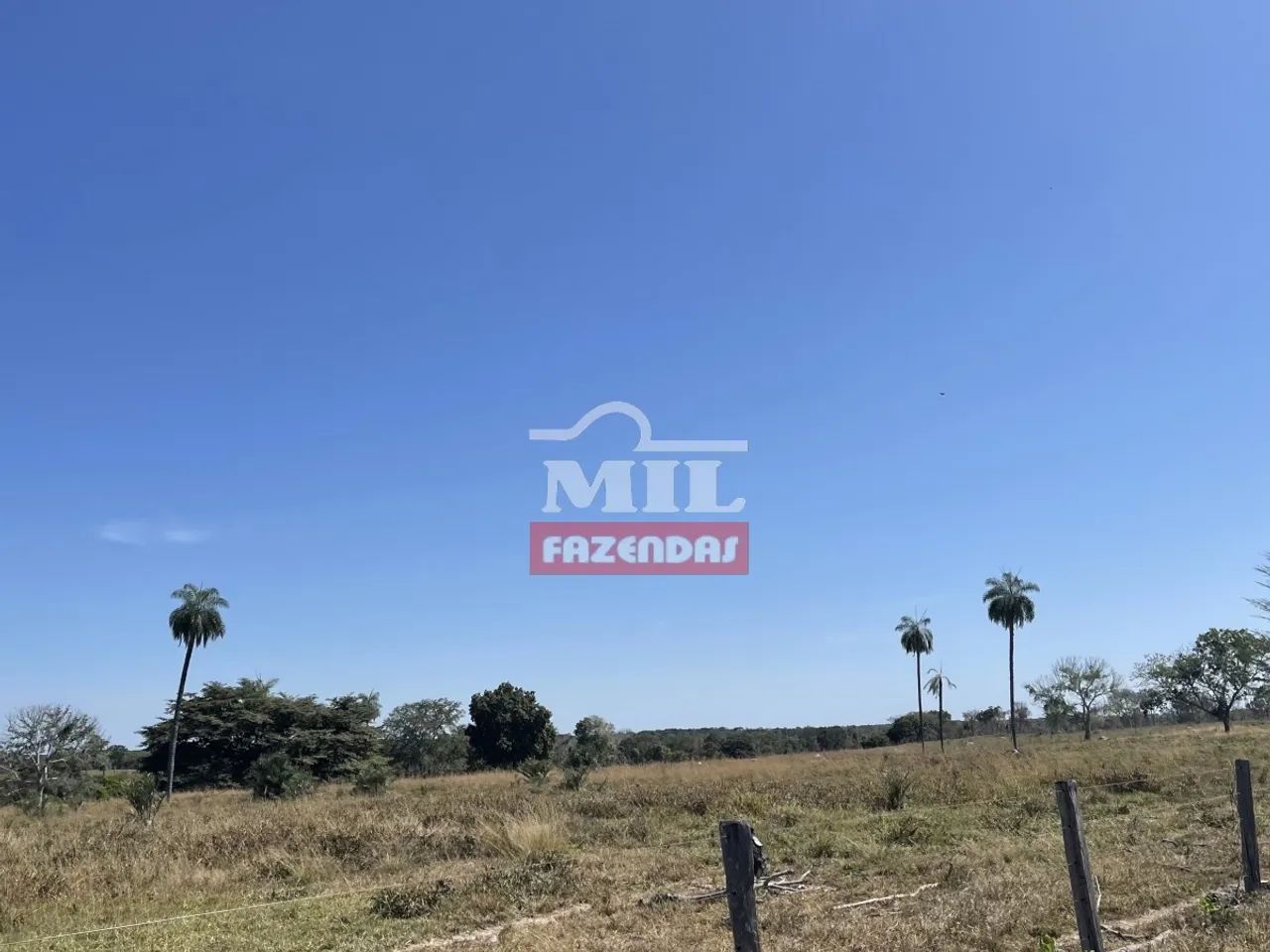 Fazenda em Nova Crixas-GO de 140 Alqueires - Foto 4