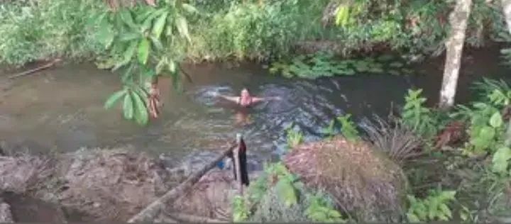 Troca-se sítio em ponto comercial,casa(região de Belém e Ananindeua) - Foto 3